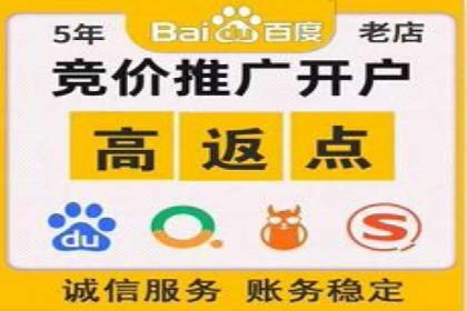 案例解析：SEM优化师如何提升广告ROI